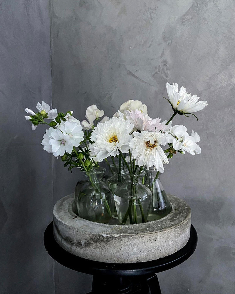 Vägg i Betonggrå microcement – blomvaser