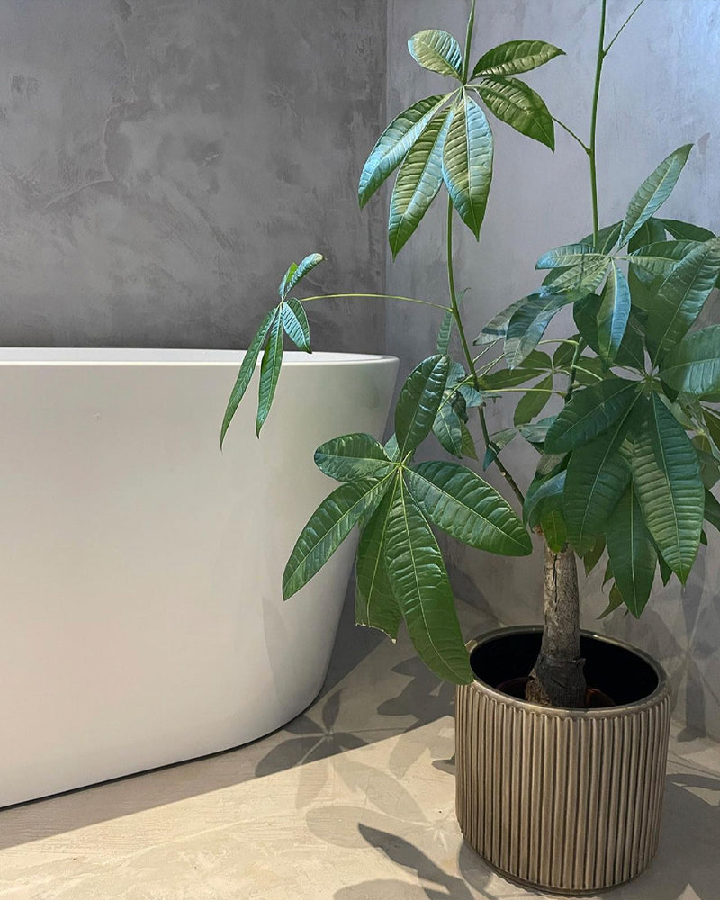 Badrum i gråbeige microcement – processbild
