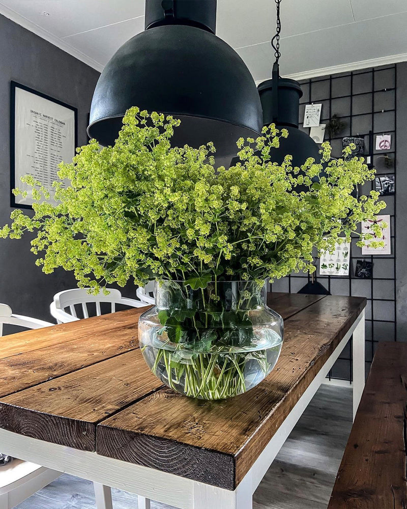 Vägg i sandvit microcement – ram, bord